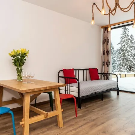 Udanypobyt Apartamenty Krzeptowki Potok Zakopane Exterior photo