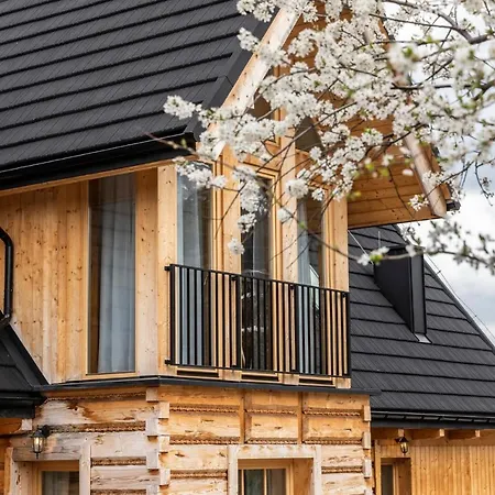 Udanypobyt Apartamenty Krzeptowki Potok Zakopane Exterior photo
